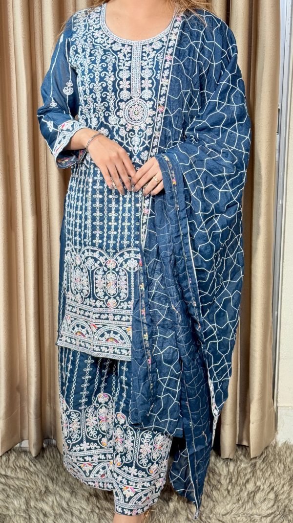 জর্জেট কামিজ ফারসি ডিজাইন - Image 9