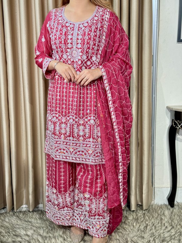 জর্জেট কামিজ ফারসি ডিজাইন - Image 7